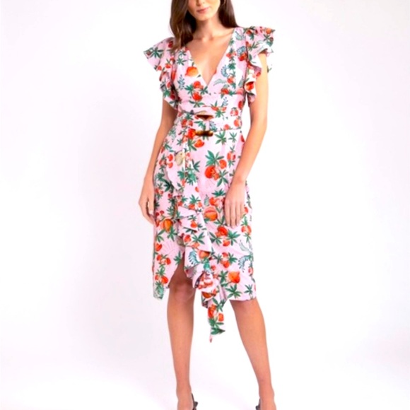 PatBo Pomegranate Butterfly Dress size US 10 - Picture 1 of 5